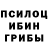 Псилоцибиновые грибы Psilocybe Silver Blake