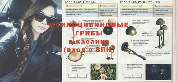 COCAINE Абинск