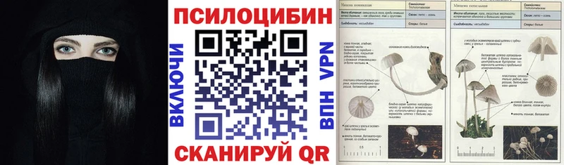 наркошоп  Александровск  Псилоцибиновые грибы прущие грибы 