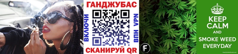 купить закладку  Александровск  МАРИХУАНА сатива 